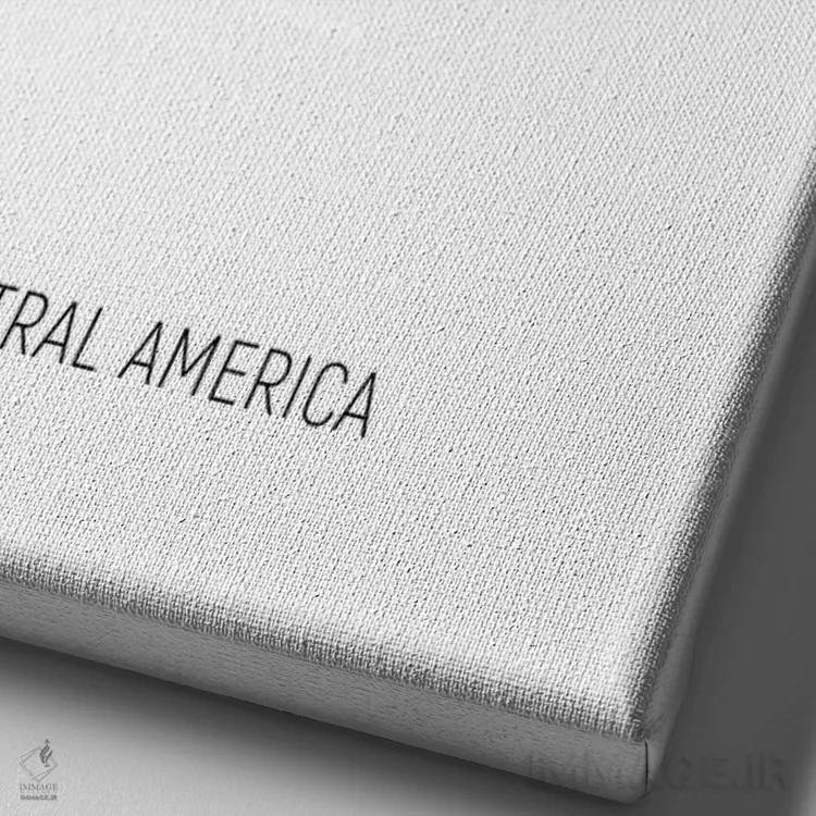 تابلو دکوراتیو نقشه آمریکای مرکزی اثر مایکل تامپست - نمای نزدیک بافت بوم