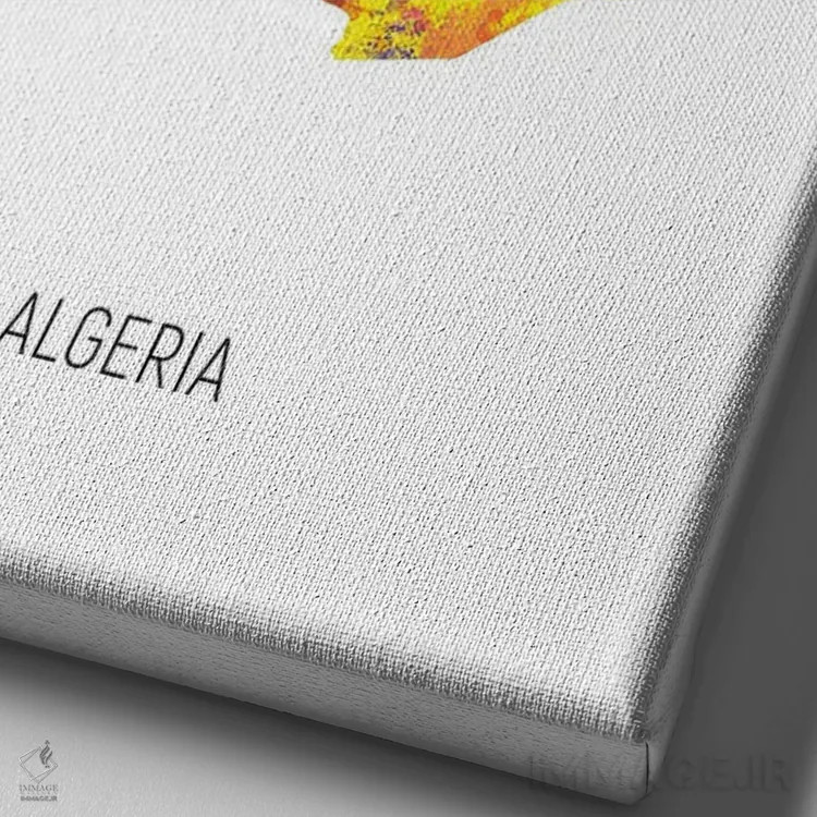 تابلو دکوراتیو نقشه الجزایر اثر مایکل تامپست - نمای نزدیک بافت بوم