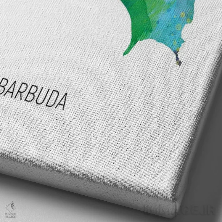 تابلو دکوراتیو نقشه باربودا اثر مایکل تامپست - نمای نزدیک بافت بوم