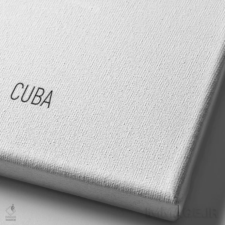 تابلو دکوراتیو نقشه کوبا اثر مایکل تامپست - نمای نزدیک بافت بوم