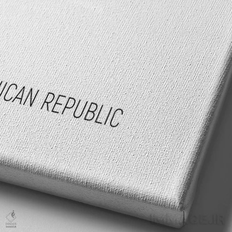 تابلو دکوراتیو نقشه جمهوری دومینیکن اثر مایکل تامپست - نمای نزدیک بافت بوم