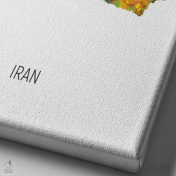 تابلو دکوراتیو نقشه ایران اثر مایکل تامپست - نمای نزدیک بافت بوم