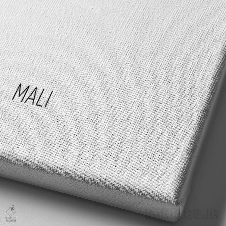 تابلو دکوراتیو نقشه مالی اثر مایکل تامپست - نمای نزدیک بافت بوم