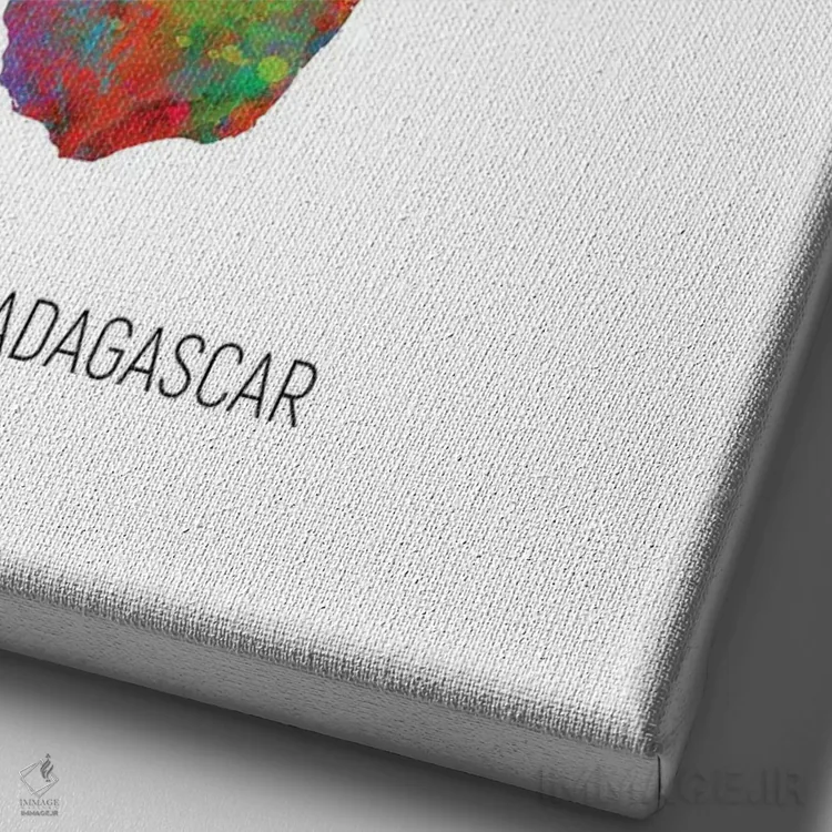 تابلو دکوراتیو نقشه ماداگاسکار اثر مایکل تامپست - نمای نزدیک بافت بوم