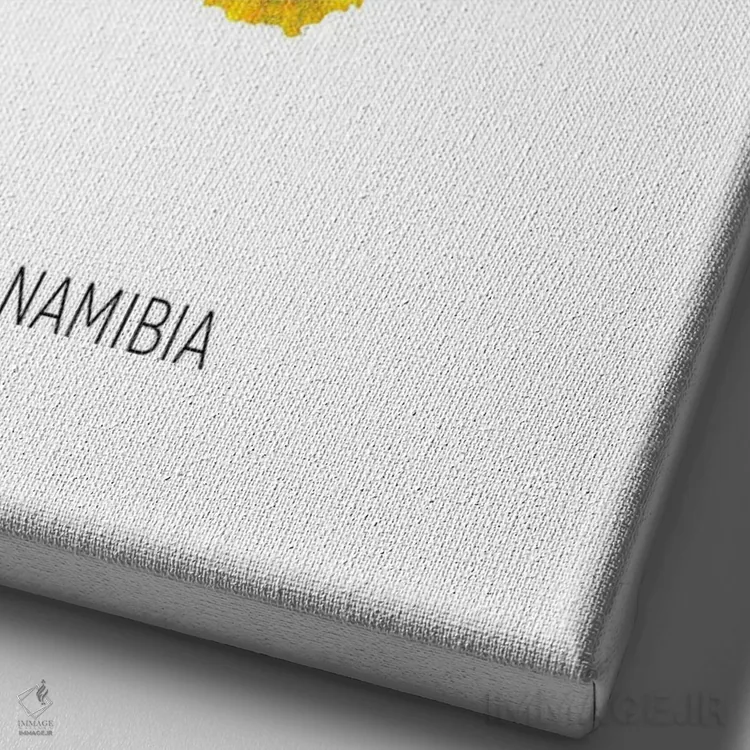 تابلو دکوراتیو نقشه نامیبیا اثر مایکل تامپست - نمای نزدیک بافت بوم