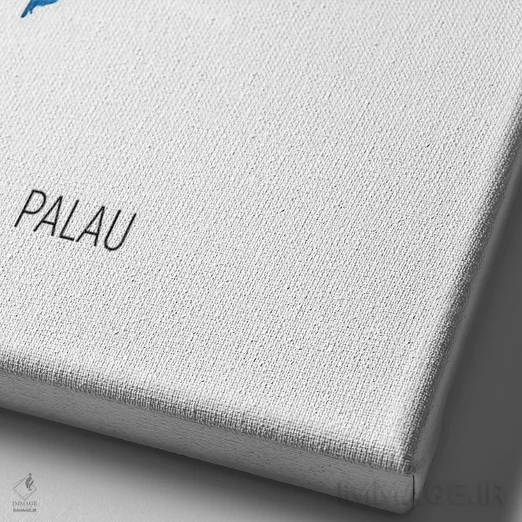 تابلو دکوراتیو نقشه پالائو اثر مایکل تامپست - نمای نزدیک بافت بوم