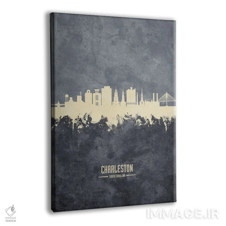 تابلو دکوراتیو نمای افق چارلستون، کارولینای جنوبی به رنگ سفید روی خاکستری اثر مایکل تامپست - نمای پرسپکتیو محصول