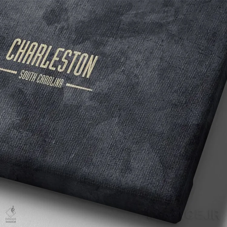 تابلو دکوراتیو نمای افق چارلستون، کارولینای جنوبی به رنگ سفید روی خاکستری اثر مایکل تامپست - نمای نزدیک بافت بوم