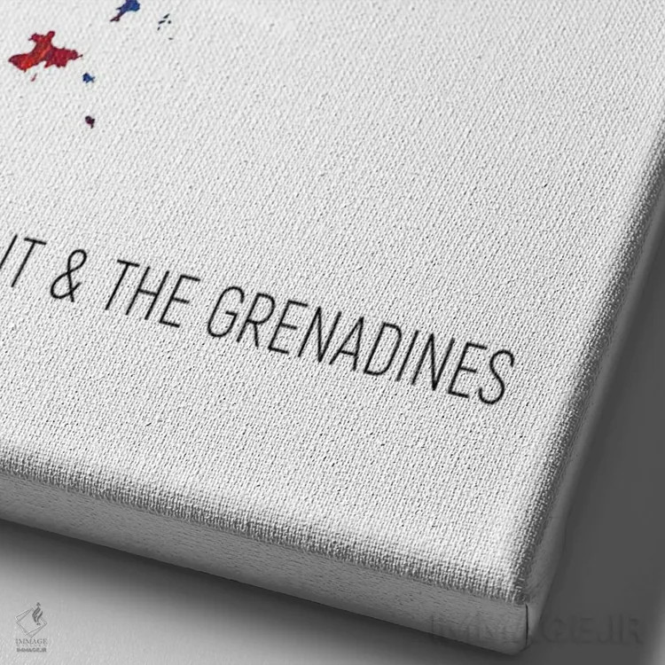 تابلو دکوراتیو نقشه سنت وینسنت و گرناباور ها اثر مایکل تامپست - نمای نزدیک بافت بوم