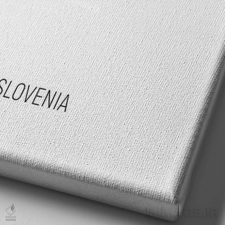 تابلو دکوراتیو نقشه اسلوونی اثر مایکل تامپست - نمای نزدیک بافت بوم