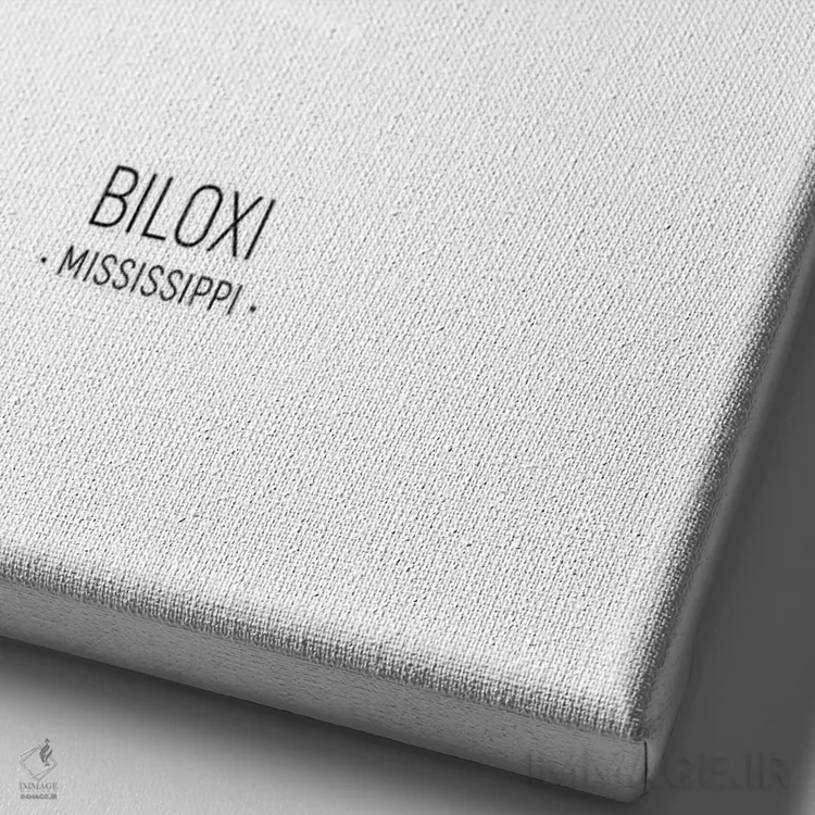 تابلو دکوراتیو نمای پرتره خط افق بیلاکسی می سی سی پی اثر مایکل تامپست - نمای نزدیک بافت بوم