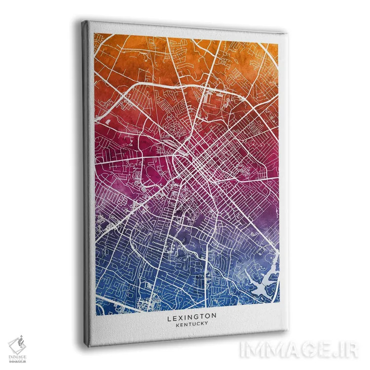 تابلو دکوراتیو نقشه لکسینگتون آبی-صورتی اثر مایکل تامپست - نمای پرسپکتیو محصول