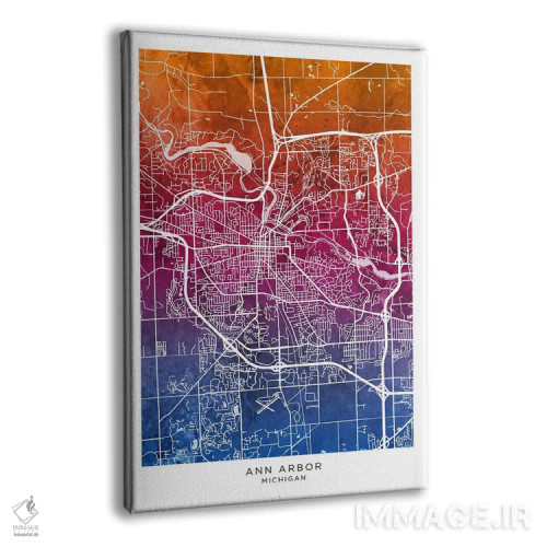 تابلو دکوراتیو نقشه آن آربر آبی-صورتی اثر مایکل تامپست - نمای پرسپکتیو محصول