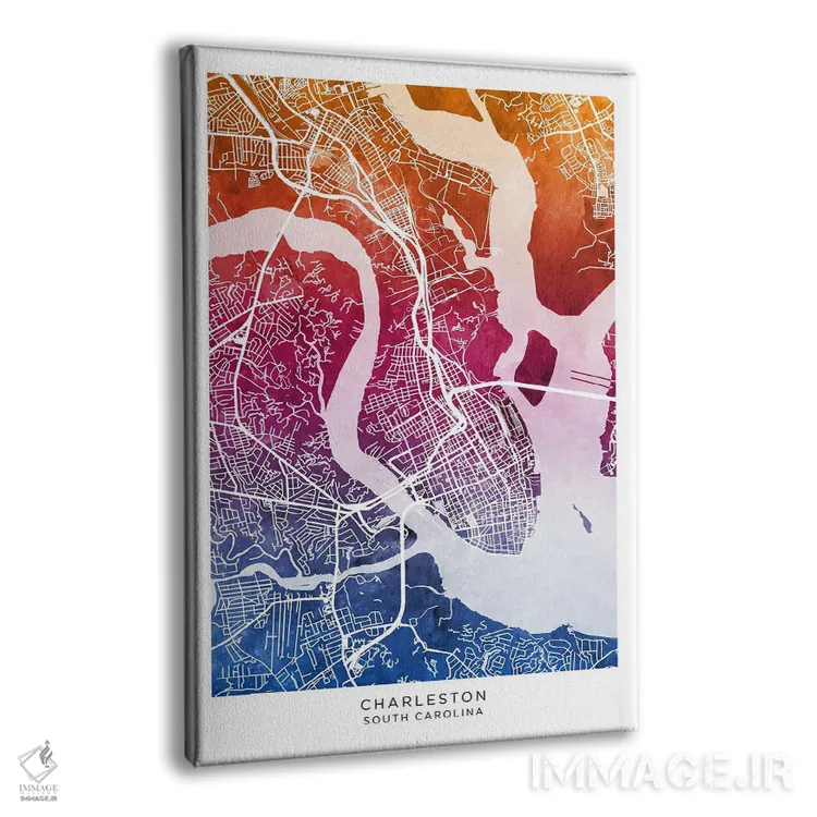 تابلو دکوراتیو نقشه چارلستون آبی-صورتی اثر مایکل تامپست - نمای پرسپکتیو محصول
