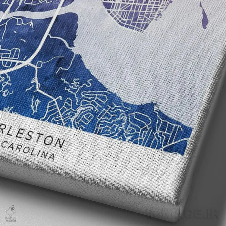 تابلو دکوراتیو نقشه چارلستون آبی-صورتی اثر مایکل تامپست - نمای نزدیک بافت بوم