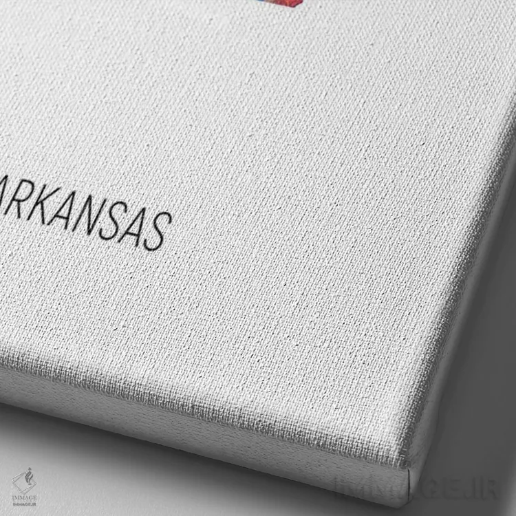 تابلو دکوراتیو نقشه آرکانزاس اثر مایکل تامپست - نمای نزدیک بافت بوم