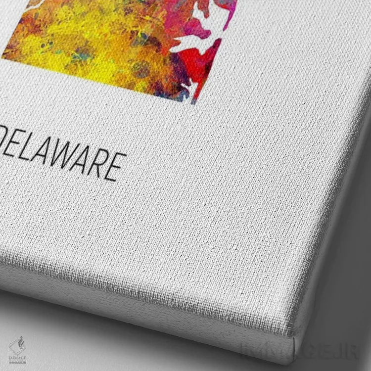 تابلو دکوراتیو نقشه دلاور اثر مایکل تامپست - نمای نزدیک بافت بوم