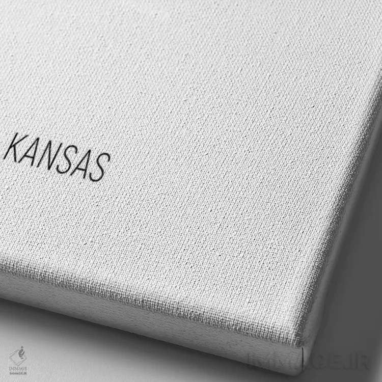 تابلو دکوراتیو نقشه کانزاس اثر مایکل تامپست - نمای نزدیک بافت بوم