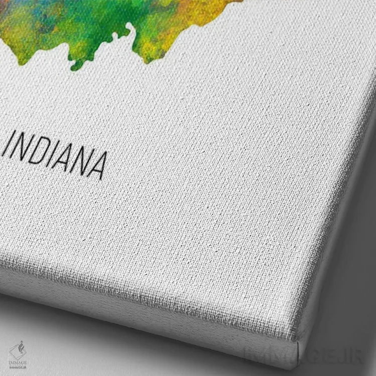 تابلو دکوراتیو نقشه ایندیانا اثر مایکل تامپست - نمای نزدیک بافت بوم