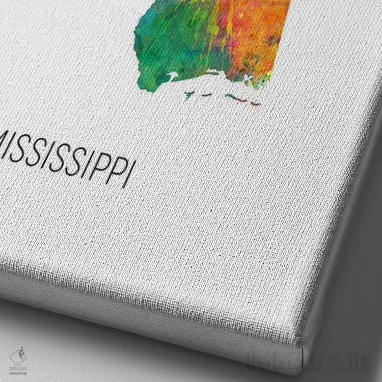 تابلو دکوراتیو نقشه میسی سی پی اثر مایکل تامپست - نمای نزدیک بافت بوم