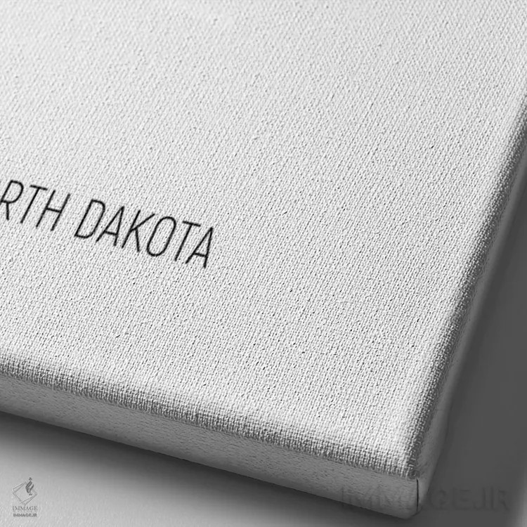 تابلو دکوراتیو نقشه داکوتای شمالی اثر مایکل تامپست - نمای نزدیک بافت بوم