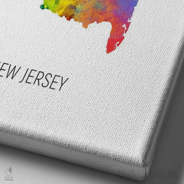 تابلو دکوراتیو نقشه نیوجرسی اثر مایکل تامپست - نمای نزدیک بافت بوم