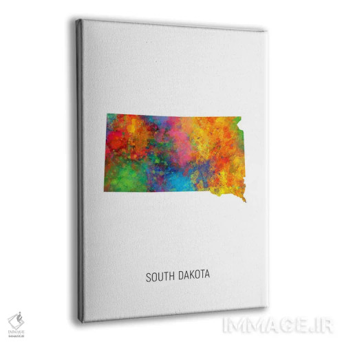 تابلو دکوراتیو نقشه داکوتای جنوبی اثر مایکل تامپست - نمای پرسپکتیو محصول