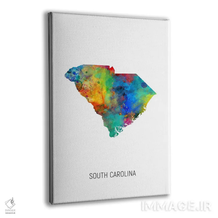 تابلو دکوراتیو نقشه کارولینای جنوبی اثر مایکل تامپست - نمای پرسپکتیو محصول