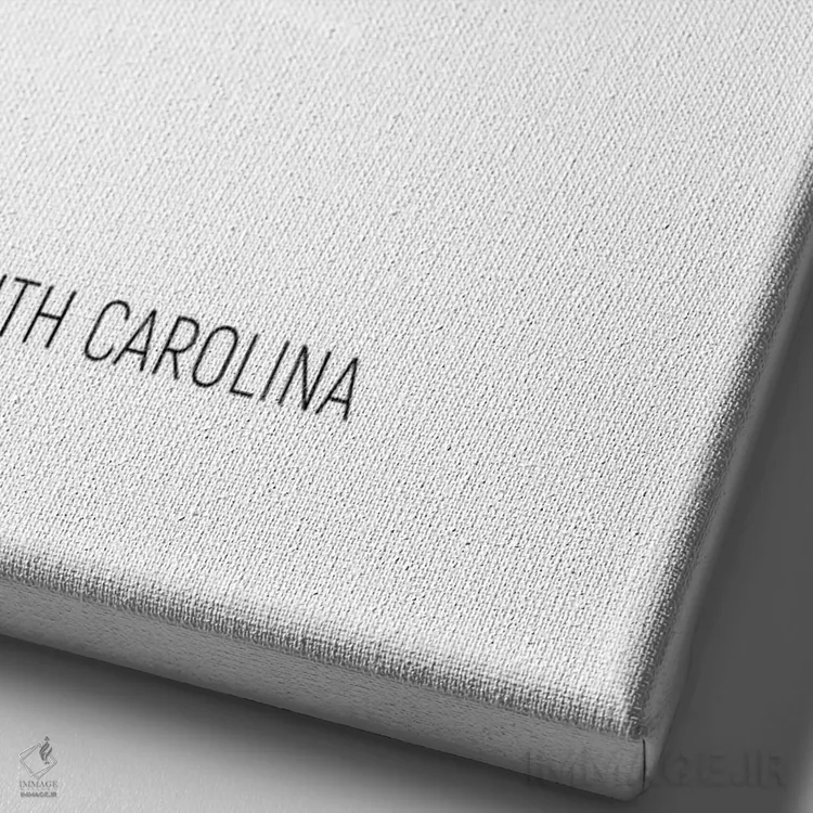 تابلو دکوراتیو نقشه کارولینای جنوبی اثر مایکل تامپست - نمای نزدیک بافت بوم