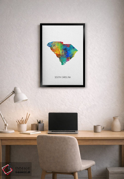 تابلو دکوراتیو نقشه کارولینای جنوبی اثر مایکل تامپست - D2B