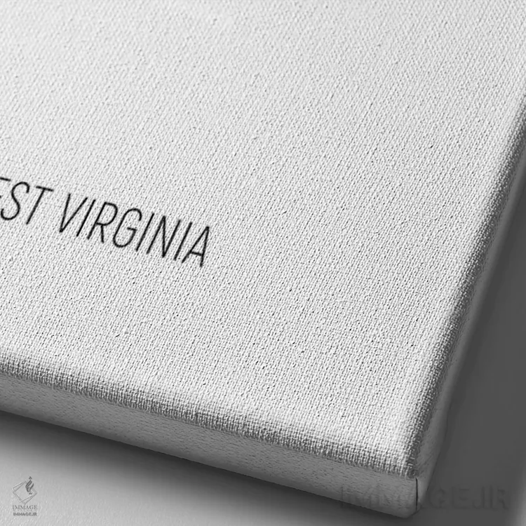 تابلو دکوراتیو نقشه ایالت ویرجینیای غربی اثر مایکل تامپست - نمای نزدیک بافت بوم