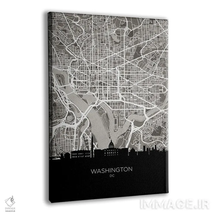 تابلو دکوراتیو نقشه خط افق واشینگتن اثر مایکل تامپست - نمای پرسپکتیو محصول