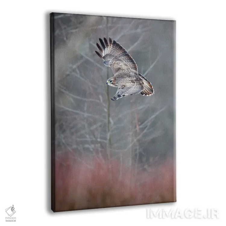 تابلو دکوراتیو کرکس در حال پرواز اثر ماتیوژ پی سیاک - نمای پرسپکتیو محصول