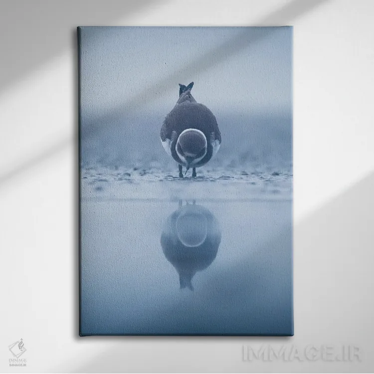 تابلو دکوراتیو بازتاب II اثر ماتیوژ پی سیاک - نمای روبهرو روی دیوار