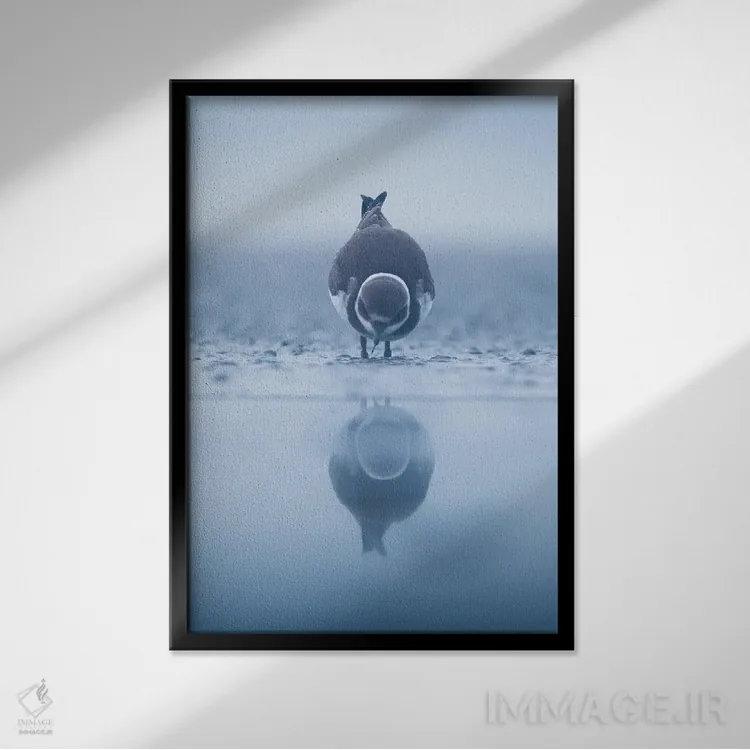 تابلو دکوراتیو بازتاب II اثر ماتیوژ پی سیاک - نمای قابدار مشکی