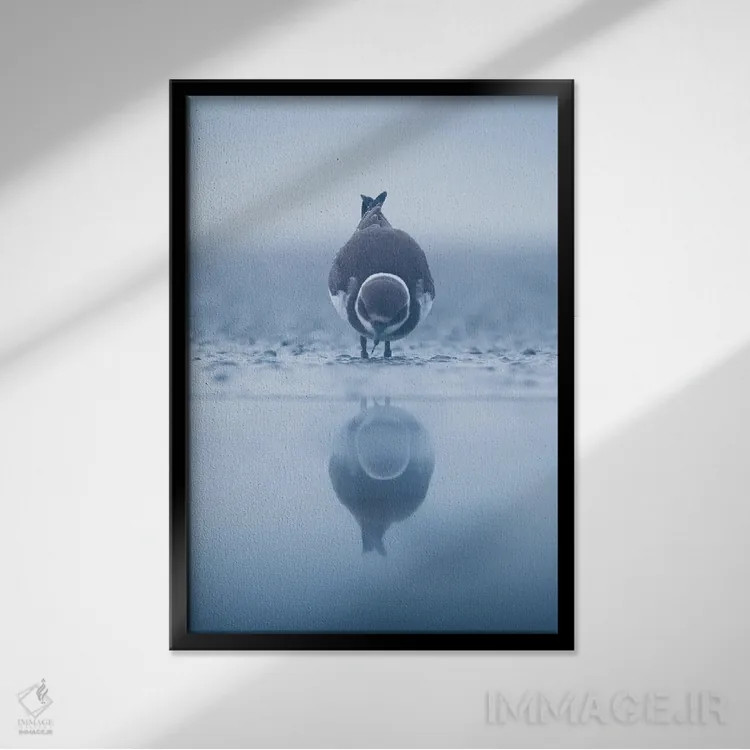 تابلو دکوراتیو بازتاب II اثر ماتیوژ پی سیاک - نمای قابدار مشکی