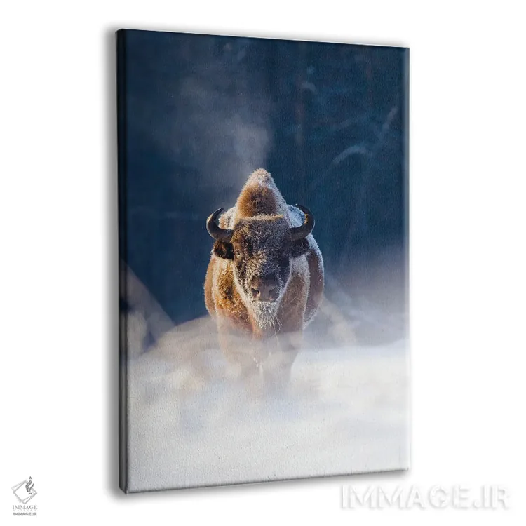 تابلو دکوراتیو پادشاه یخ زده اثر ماتیوژ پی سیاک - نمای پرسپکتیو محصول