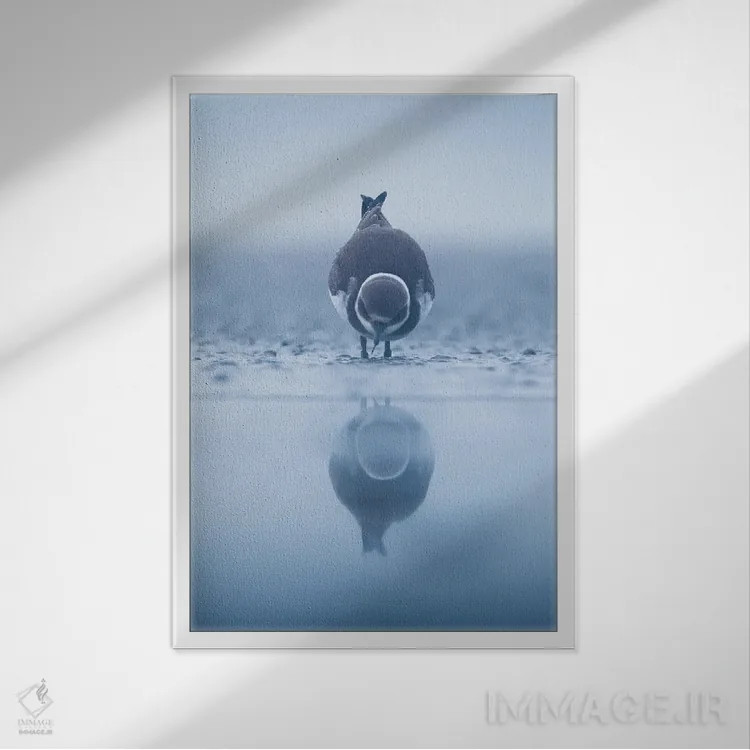 تابلو دکوراتیو بازتاب II اثر ماتیوژ پی سیاک - نمای قابدار سفید