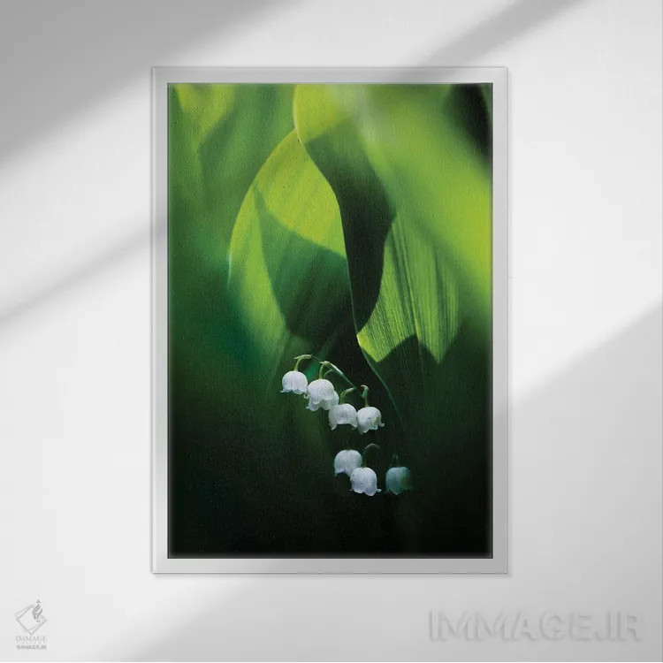 تابلو دکوراتیو موگه اثر ماتیوژ پی سیاک - نمای قابدار سفید