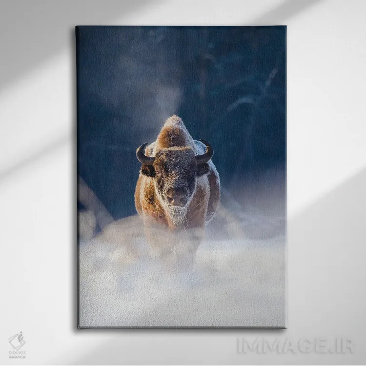 تابلو دکوراتیو پادشاه یخ زده اثر ماتیوژ پی سیاک - نمای روبهرو روی دیوار