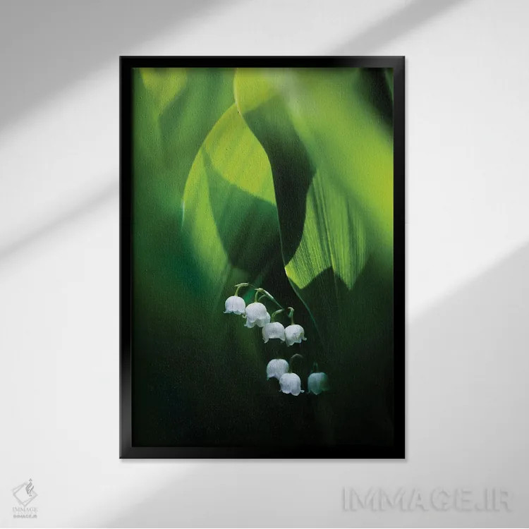 تابلو دکوراتیو موگه اثر ماتیوژ پی سیاک - نمای قابدار مشکی