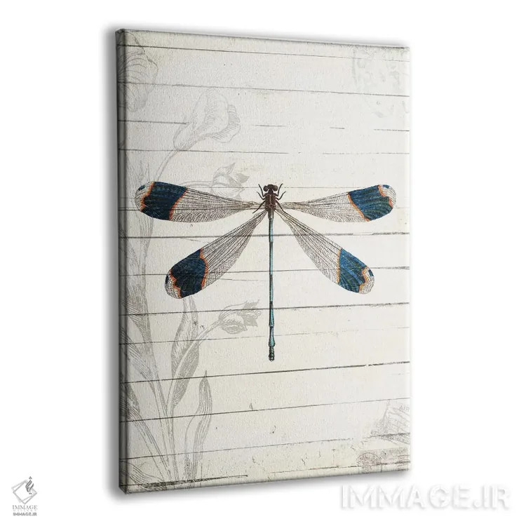 تابلو دکوراتیو ظاهر سنجاقک اثر میلی ویلا - نمای پرسپکتیو محصول