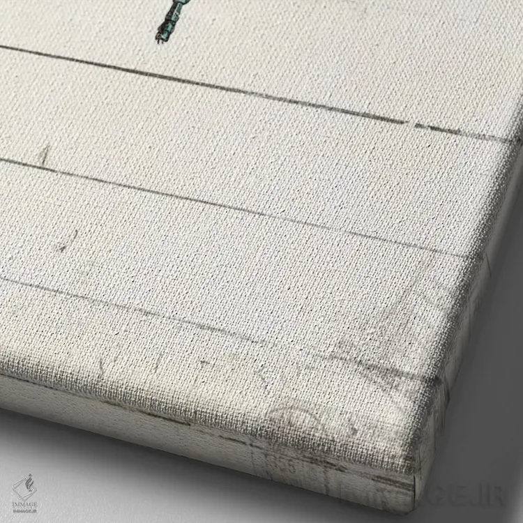 تابلو دکوراتیو ظاهر سنجاقک اثر میلی ویلا - نمای نزدیک بافت بوم