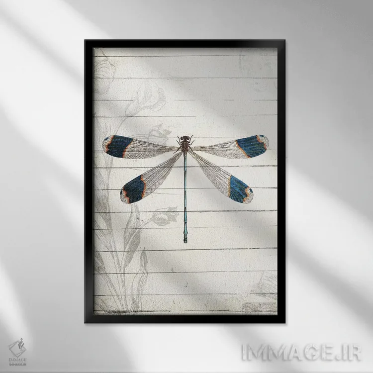 تابلو دکوراتیو ظاهر سنجاقک اثر میلی ویلا - نمای قابدار مشکی