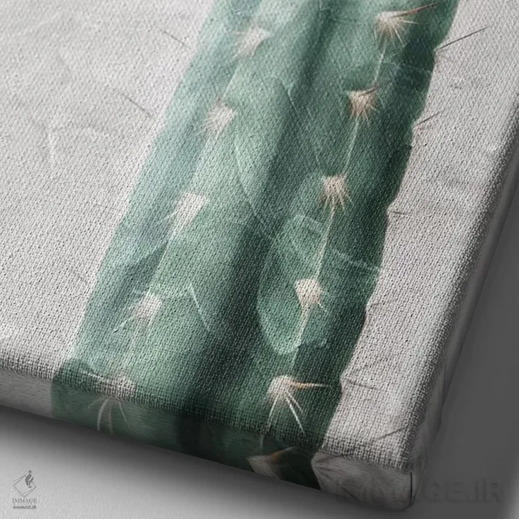 تابلو دکوراتیو کلاه کاکتوس اثر میلی ویلا - نمای نزدیک بافت بوم