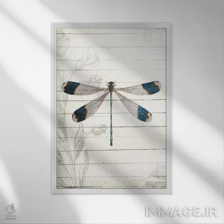تابلو دکوراتیو ظاهر سنجاقک اثر میلی ویلا - نمای قابدار سفید