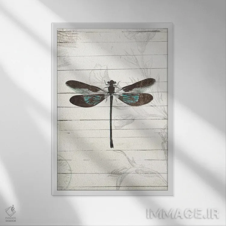 تابلو دکوراتیو ظاهر سنجاقک ۲ اثر میلی ویلا - نمای قابدار سفید