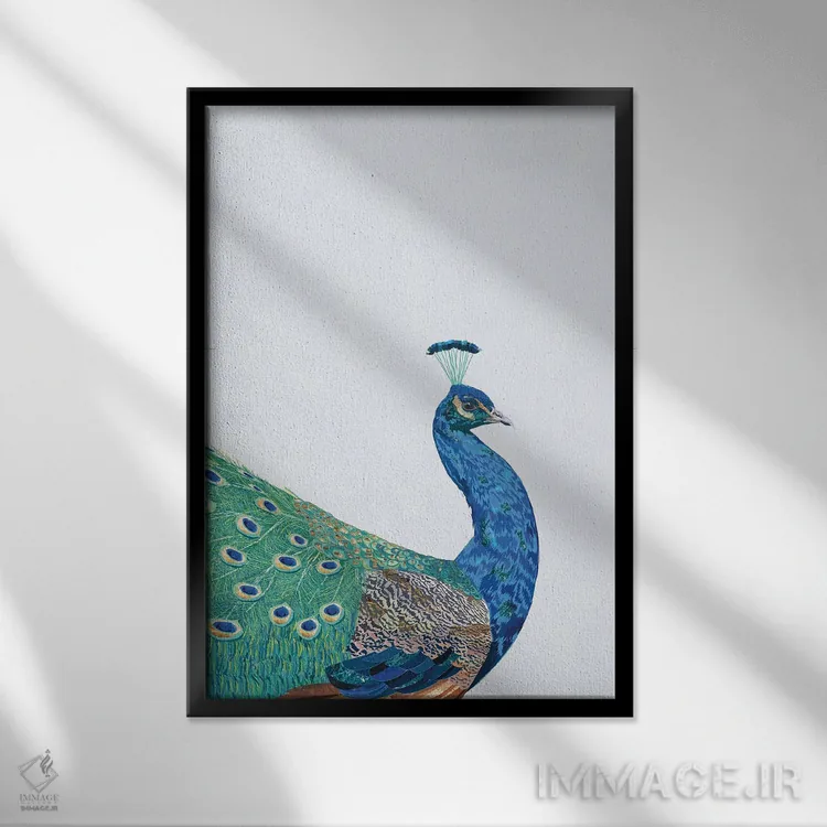 تابلو دکوراتیو طاووس بی نقص اثر سارا مانوفسکی - نمای قابدار مشکی