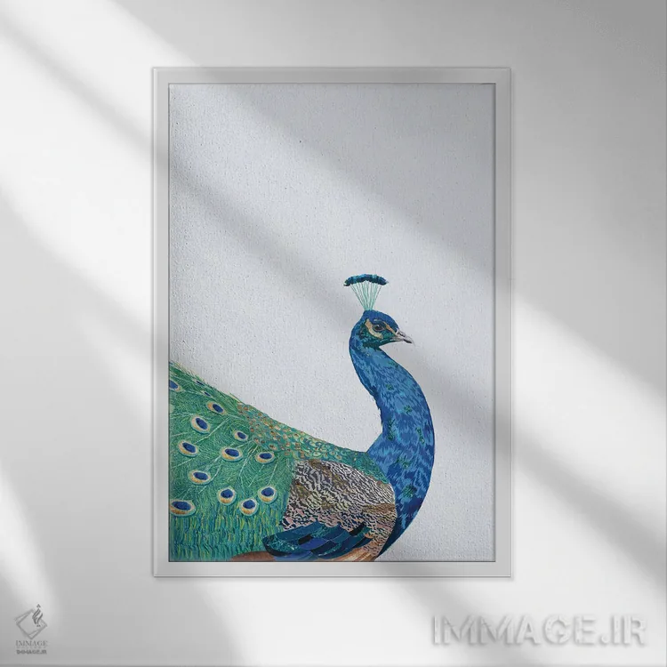 تابلو دکوراتیو طاووس بی نقص اثر سارا مانوفسکی - نمای قابدار سفید