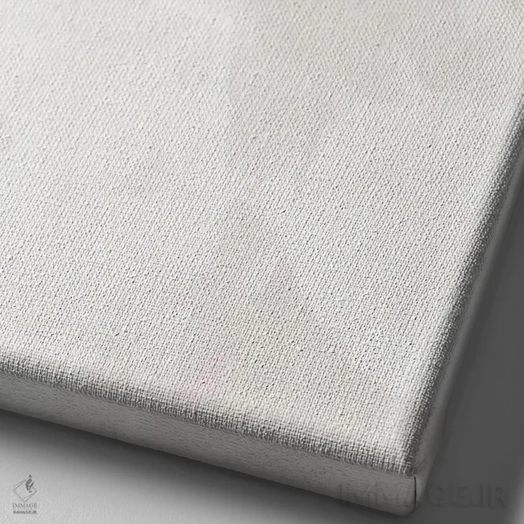 تابلو مینیمال گیاه رشته مروارید طلایی اثر سارا مانوفسکی - نمای نزدیک بافت بوم